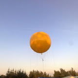 280520101185_nlt.jpg