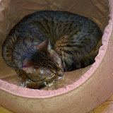 IMAG0174.jpg