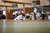IMG_1041.jpg