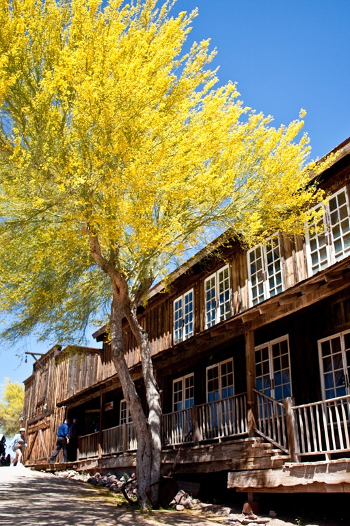 [20120422-IMG_2667-23.jpg]