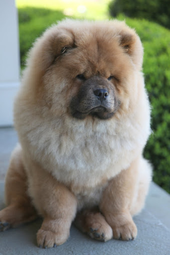 Ladies - I just feel so fluffy and soft.