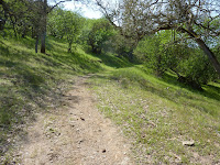 P1030914.JPG