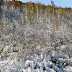 2011-12 First Winter Storm 1027.jpg