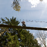 Downe Scout Camp - 3501666773.jpg