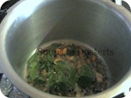 IMG_6666 IMG_6666