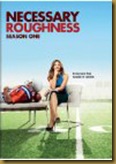 necessary roughness