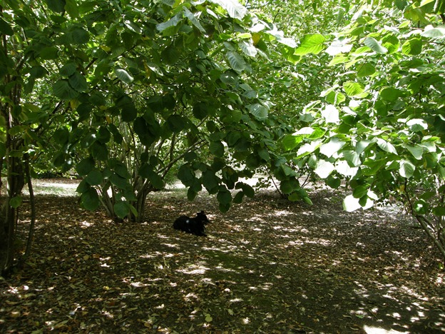 [baskets%2520053%255B9%255D.jpg]