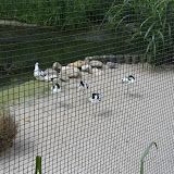 Zootour Teil 3