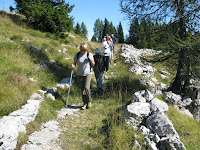 On the trail