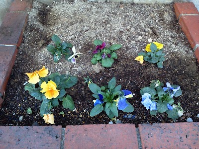 2014-01-06 14.58.24.jpg