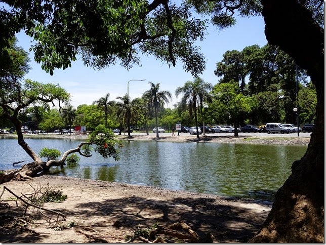 Buenos_Aires_Bus_DSC00113