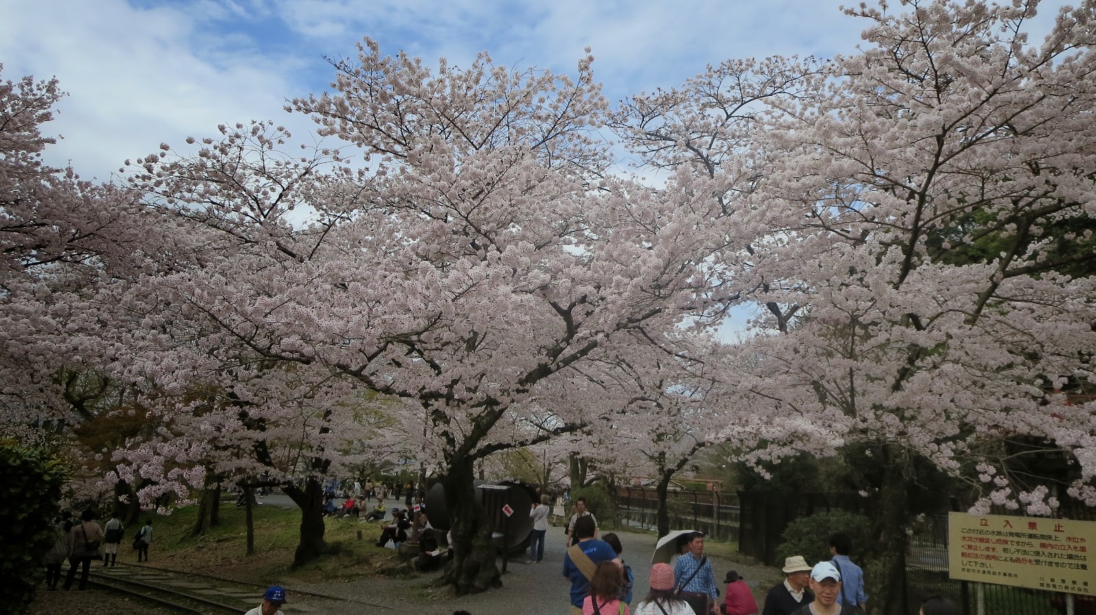 [IMG_2714%255B3%255D.jpg]