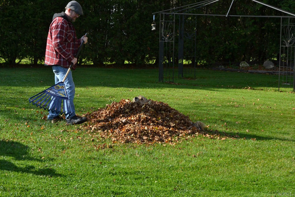 [DSC_1052%255B3%255D.jpg]