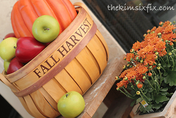 Harvest basket