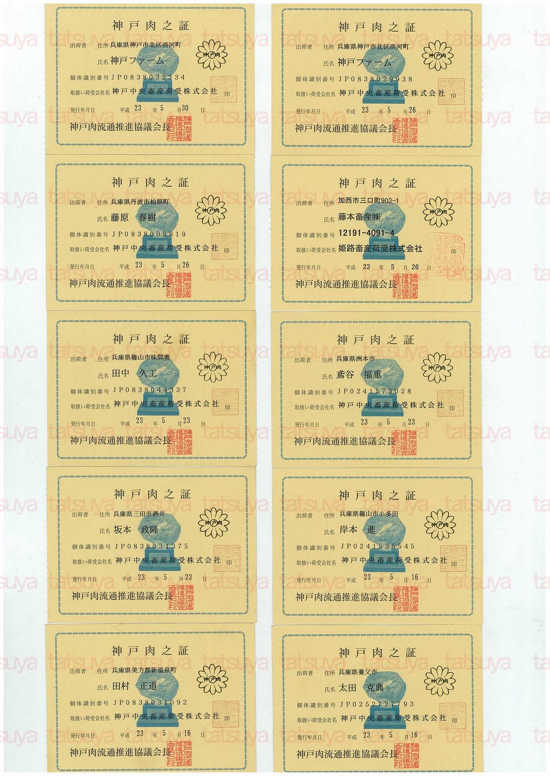 [LOT-11060901-%25231.jpg]