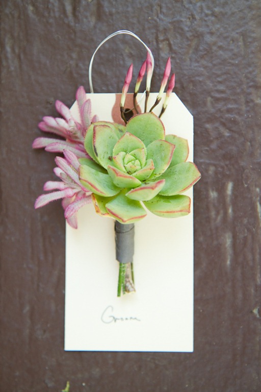 [kateosbornephotography%2520honey%2520of%2520a%2520thousand%2520flowers%255B6%255D.jpg]