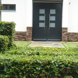 Tuin voor tuinwedstrijde 023.jpg