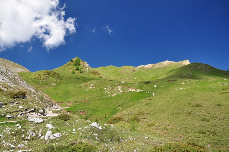 DSC 1129