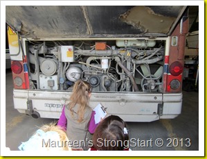 IMG_7494 IMG_7494