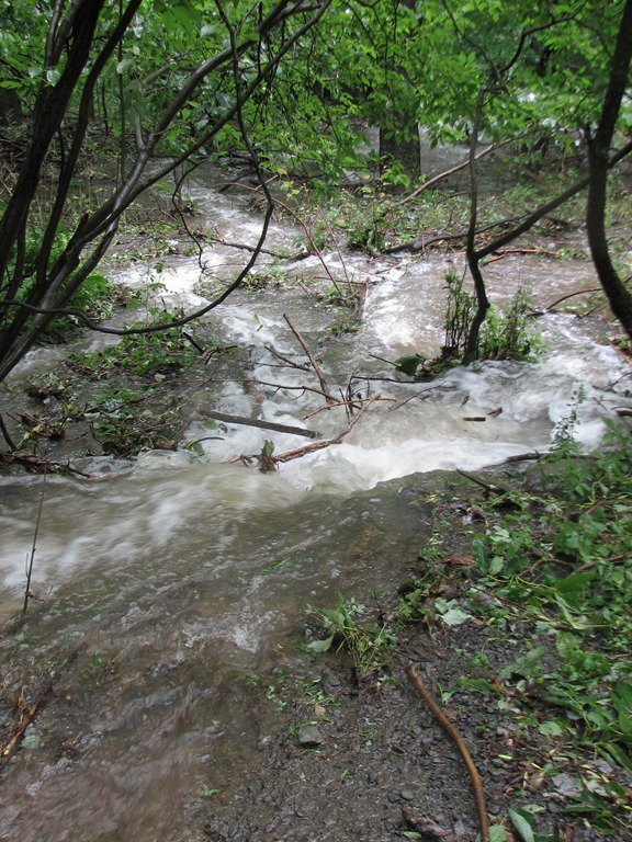 [IMG_74355.jpg]