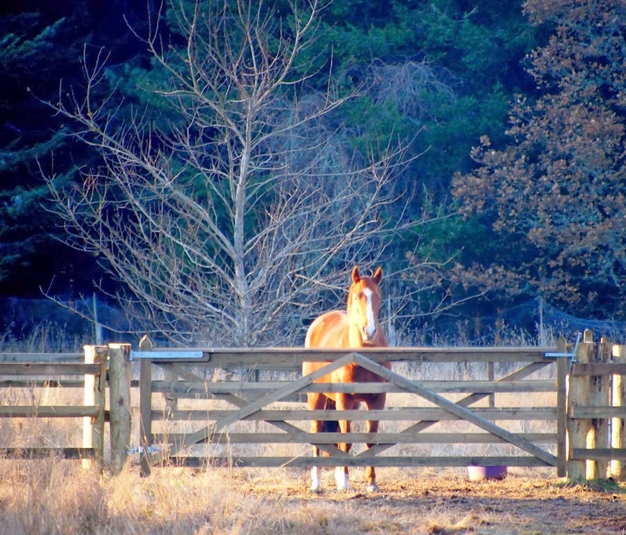 [17%2520Dec%25201%255B3%255D.jpg]