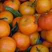 italy 2008 230.JPG