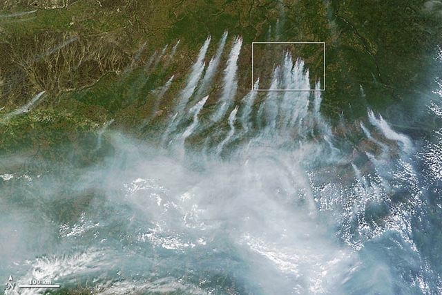 The Moderate Resolution Imaging Spectroradiometer (MODIS) on NASA’s Terra satellite acquired these images of numerous fires and heavy smoke near the borders of Khanty-Mansiisk, Krasnoyarsk, and Tomsk at 1:20 p.m. local time (06:20 Universal Time) on 18 June 2012. Active fires are shown with red outlines. Numerous fires are burning through taiga in Krasnoyarsk, and a large pall of smoke to the south covers much of Tomsk. NASA image courtesy Jeff Schmaltz, LANCE MODIS Rapid Response