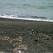 pic30.jpg