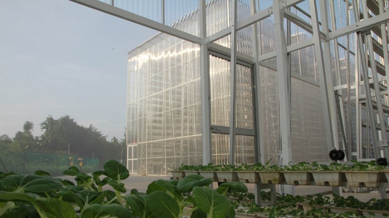 skygreens-vertical-farm-8 skygreens-vertical-farm-8