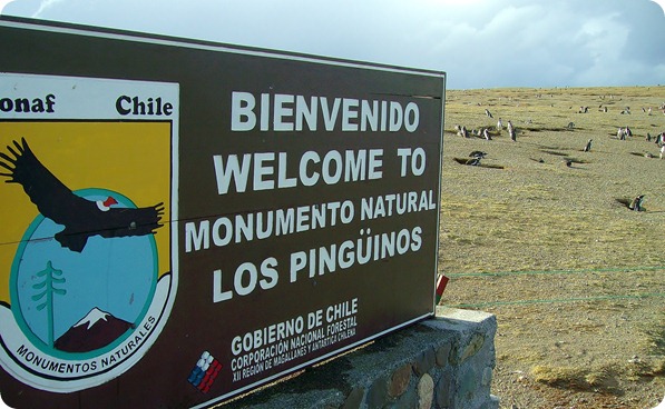 Monumento Natural Los Pingüinos