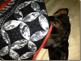 sleeping beauty sleeping beauty