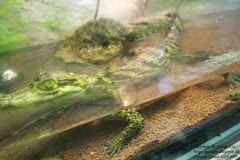 IMG_3592 IMG_3592