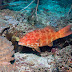 P7034375