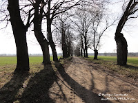 dsc07301.jpg