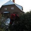 Tannenbaumaktion09018.jpg