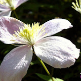 DSCF7130.jpg