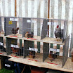 Poultry 003.jpg