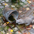 20091031 Allgaeu 0004 [640x480].JPG