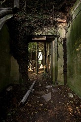 Nettleham-Hall-2