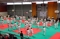 IMG_1172.jpg