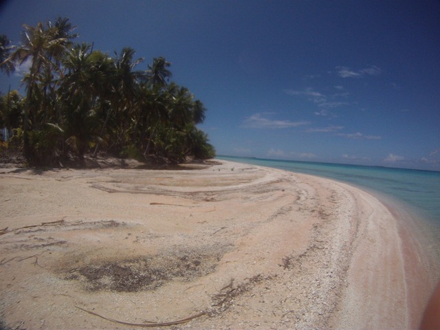 [GOPR24441280x9604.jpg]