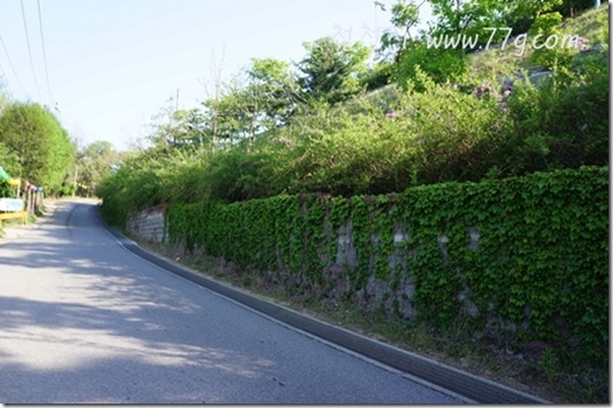 철천지DSC00480-20120504-082109 철천지DSC00480-20120504-082109