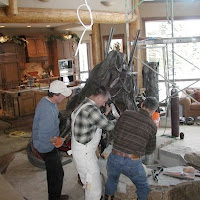 Walz Pine moving roots into place.jpg
