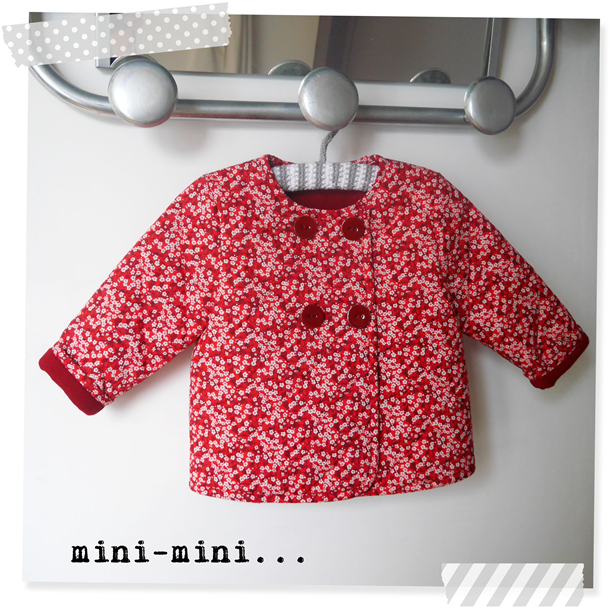 mini mitsi1 mini mitsi1