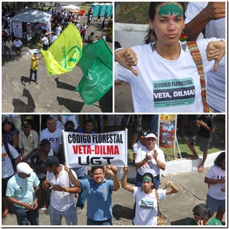 Veta, Dilma