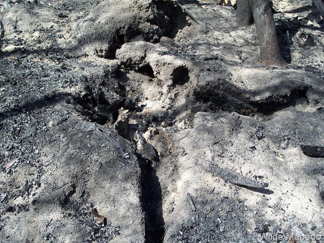 [Incendio%2520en%2520Rocha%2520%252821.12.11%2529_Wilde%2520Macedo%2520Rocha%2520Wilde%2520Macedo%2520%252814%2529%255B2%255D.jpg]