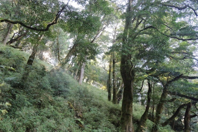 2014_1005_081106 2014_1005_081106