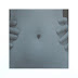 Object: 20074 - Squeezed (zeefdruk) - 35 x 35 cm - € 725,=