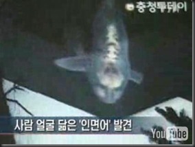 humanfacedcarp humanfacedcarp