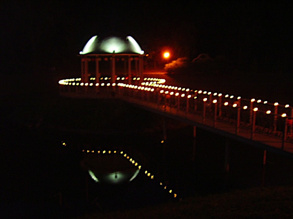P8220200.JPG